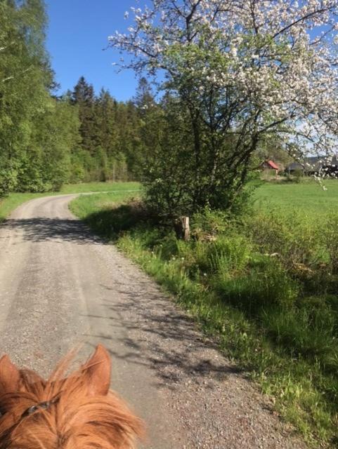 Stenlid - Med Naturen Och Lugnet I Fokus Veddige Zewnętrze zdjęcie