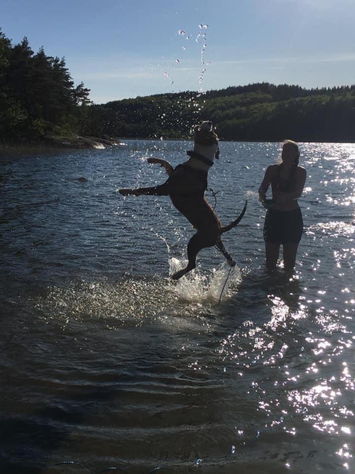 Stenlid - Med Naturen Och Lugnet I Fokus Veddige Pokój zdjęcie
